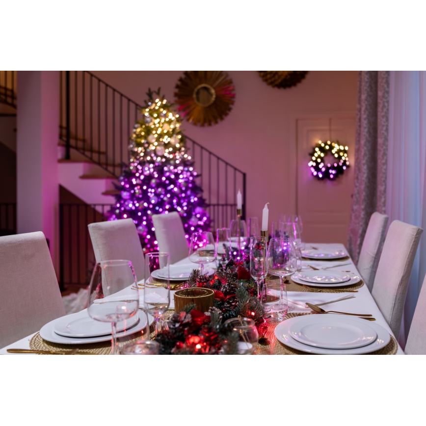 Twinkly - LED RGBW Prigušive vanjske božićne lampice STRINGS 250xLED 23,5m IP44 Wi-Fi