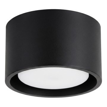 Usmjerivačka svjetiljka MODO 1xGX53/10W/230V crna