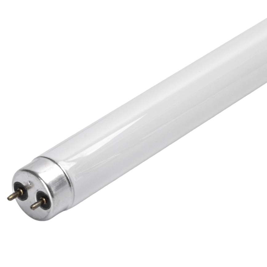 UV fluorescentna cijev za lapač insekata G13/10W/230V 36,5 cm - BRILAGI