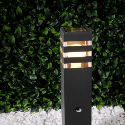 Vanjska lampa sa senzorom TEKSAS 1xE27/12W/230V IP44 44 cm antracit