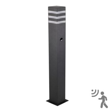 Vanjska lampa sa senzorom TEKSAS 1xE27/12W/230V IP44 74 cm grafit