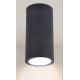 Vanjska reflektorska svjetiljka ATLANTA 1xGU10/10W/230V IP54