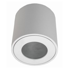 Vanjska stropna svjetiljka FARA 1xGU10/50W/230V IP54 bijela