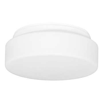 Vanjska stropna svjetiljka HECTOR 1xE27/60W/230V pr. 25 cm IP44 opal bijela