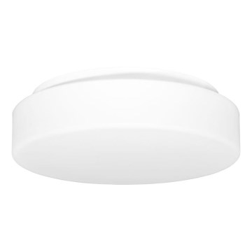 Vanjska stropna svjetiljka HECTOR 1xE27/60W/230V pr. 30 cm IP44 opal bijela