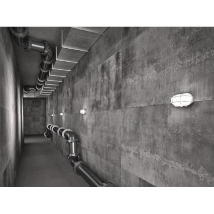 Vanjska stropna svjetiljka OVAL 1xE27/60W/230V IP44 bijela