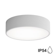 Vanjska stropna svjetiljka sa senzorom CLEO 2xE27/48W/230V pr. 30 cm siva IP54