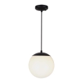 Vanjska viseća svjetiljka na sajli 1xE27/60W/230V Ø 20 cm IP44 crna
