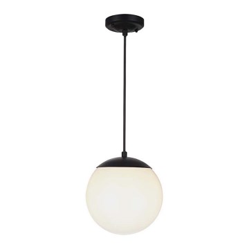 Vanjska viseća svjetiljka na sajli 1xE27/60W/230V Ø 20 cm IP44 crna