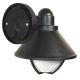 Vanjska zidna svjetiljka EDINA 1xE27/60W/230V IP44 crna