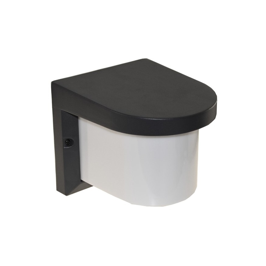 Vanjska zidna svjetiljka PETUNIA 1xE27/60W/230V IP44 antracit