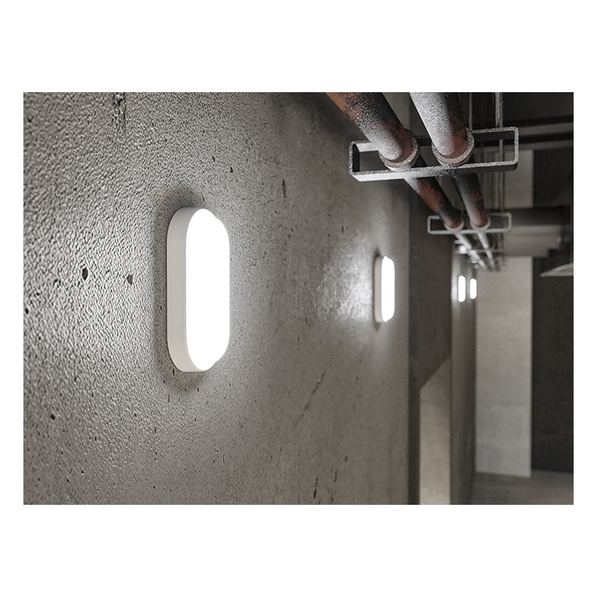 Vanjsko LED zidno svjetlo LED/6W/230V IP54 bijela