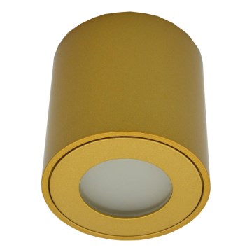 Vanjsko reflektorsko svjetlo FARA 1xGU10/30W/230V IP54 zlatno