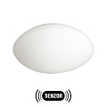 Vanjsko svjetlo s senzorom PETRA 1xE27/60W/230V mat staklo IP44