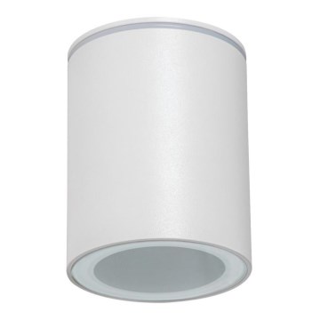 Vanjsko usmjereno svjetlo AQILO 1xGU10/7W/230V IP65 bijela