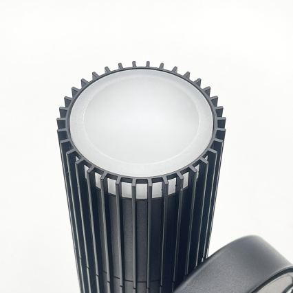 Vanjsko zidno reflektorsko svjetlo LANTHEA 1xGU10/11W/230V IP54 crno