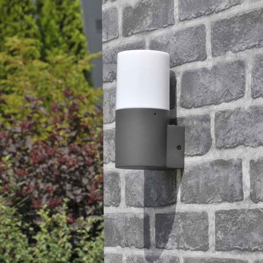 Vanjsko zidno svjetlo DALLAS 1xE27/12W/230V IP44 antracit