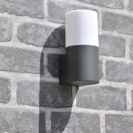 Vanjsko zidno svjetlo DALLAS 1xE27/12W/230V IP44 antracit