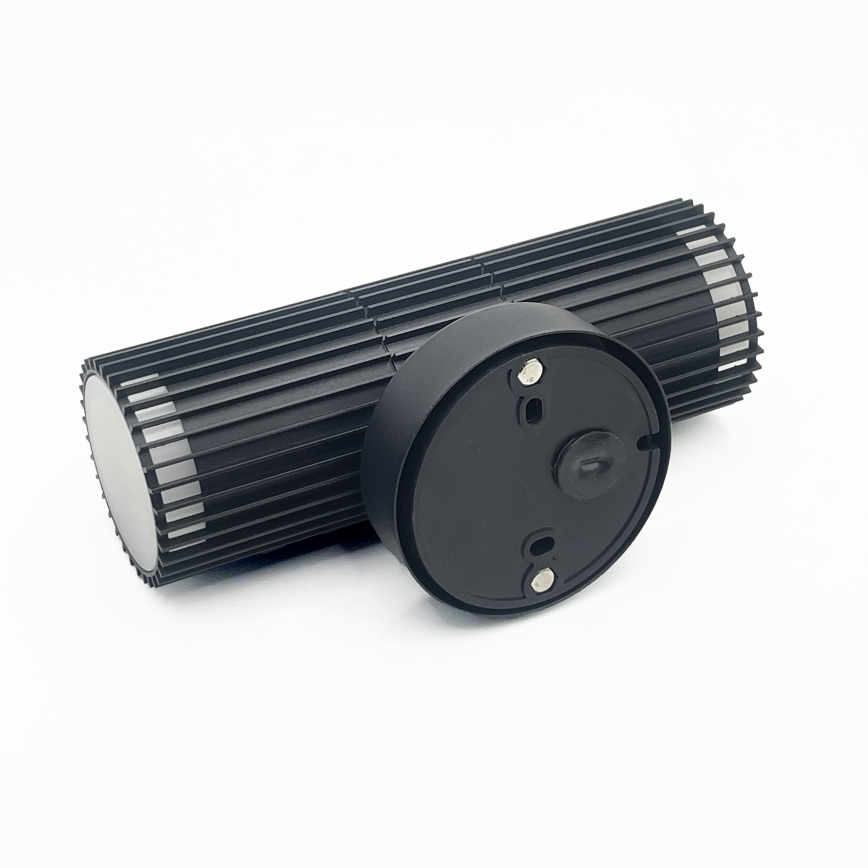 Vanjsko zidno usmjereno svjetlo LANTHEA 2xGU10/11W/230V IP44 crno