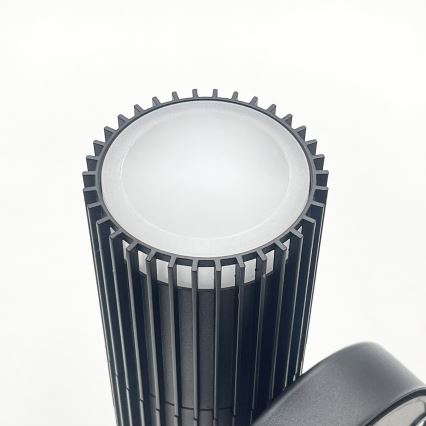 Vanjsko zidno usmjereno svjetlo LANTHEA 2xGU10/11W/230V IP44 crno