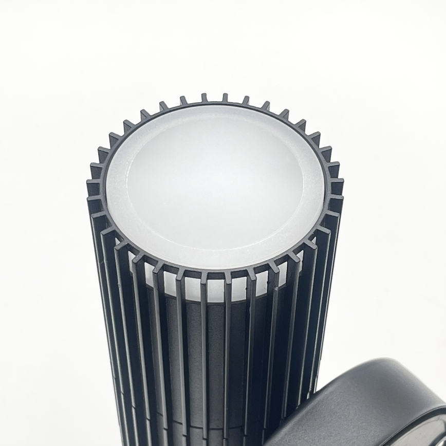 Vanjsko zidno usmjereno svjetlo LANTHEA 2xGU10/11W/230V IP44 crno