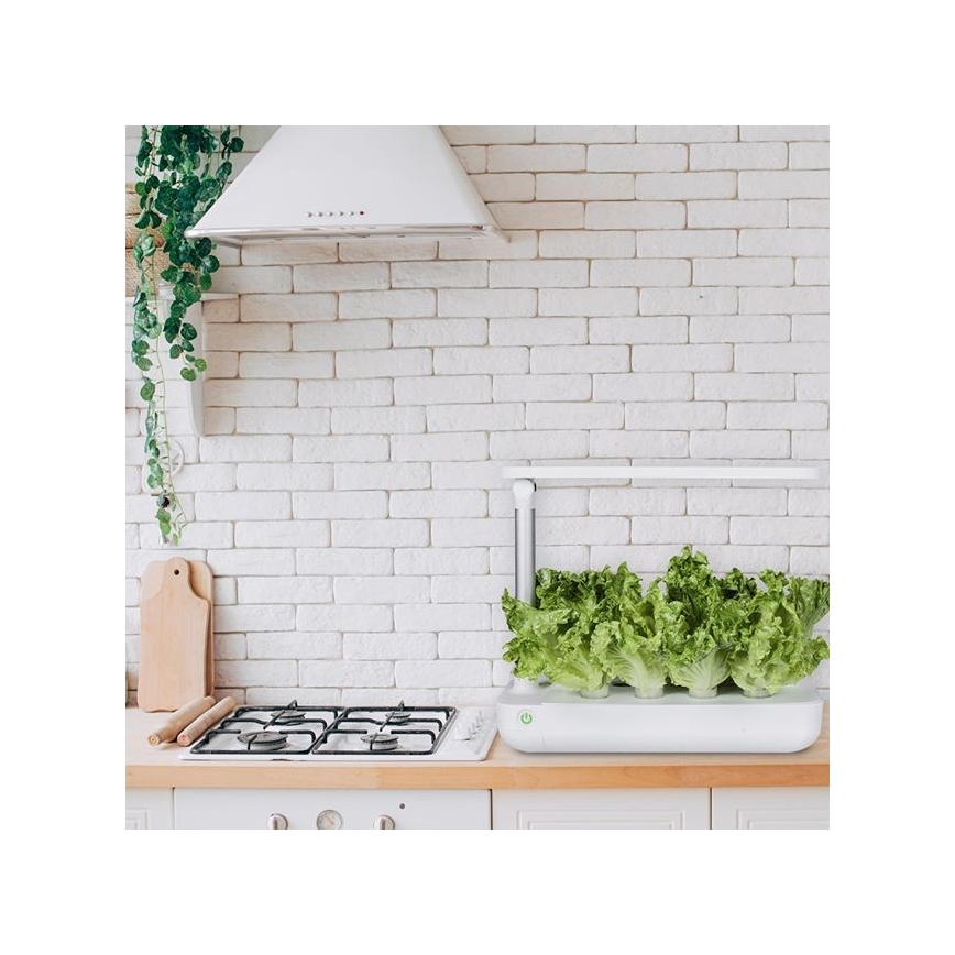VEGEBOX SMART GARDEN 9 PLANTING VACANCY LED/21W/230V