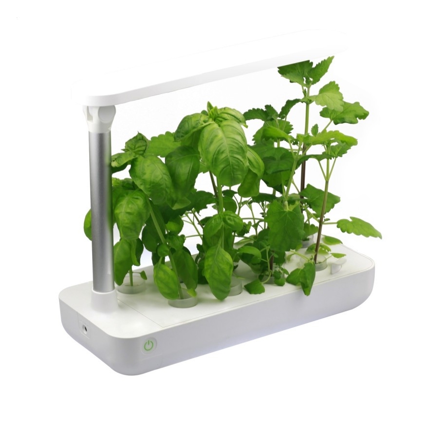 VEGEBOX SMART GARDEN 9 PLANTING VACANCY LED/21W/230V