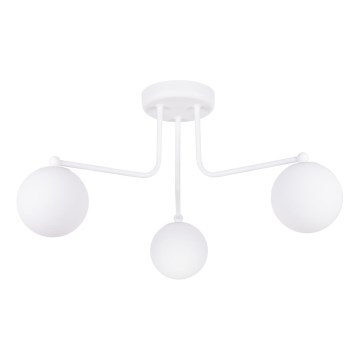 Viseći luster ASTRAL 3xG9/8W/230V bijela