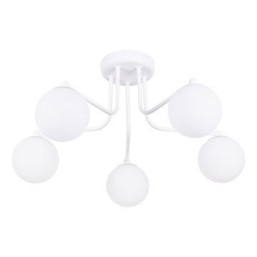 Viseći luster ASTRAL 5xG9/8W/230V bijela