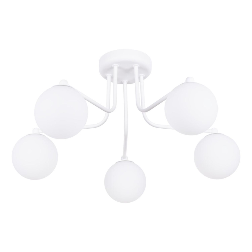 Viseći luster ASTRAL 5xG9/8W/230V bijela