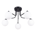 Viseći luster ASTRAL 5xG9/8W/230V crna