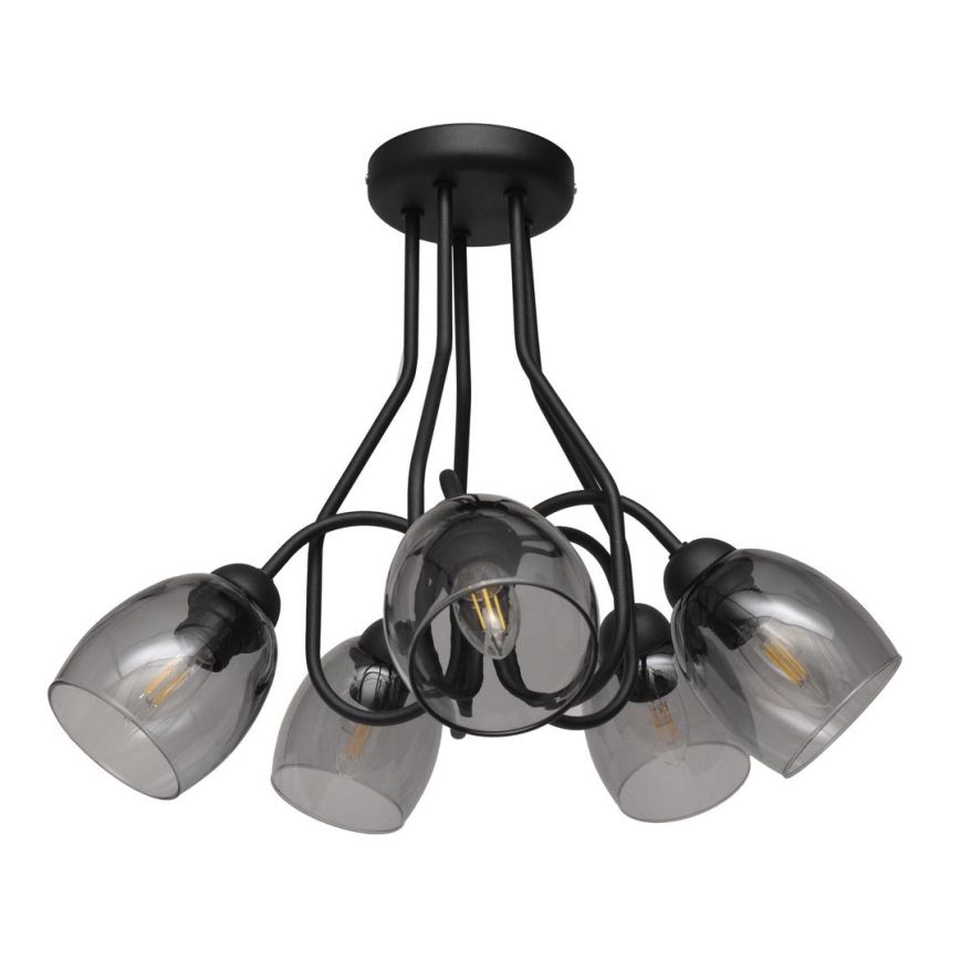 Viseći luster MARIETTA 5xE27/15W/230V
