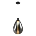 Viseći luster na sajli DENSO 1xGU10/10W/230V, promjer 30 cm, crni krom