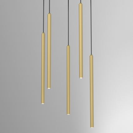 Viseći luster na sajli YORU 8xG9/8W/230V mesing
