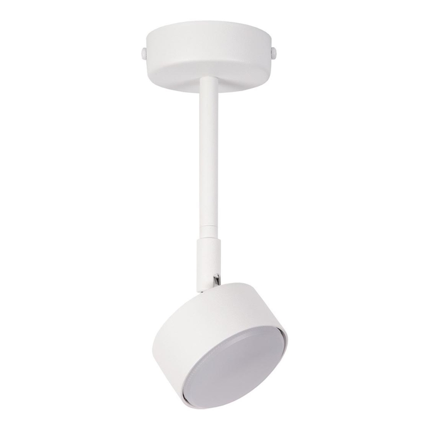 Viseći luster NEMO 1xGX53/12W/230V 24 cm bijela