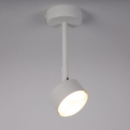 Viseći luster NEMO 1xGX53/12W/230V 24 cm bijela