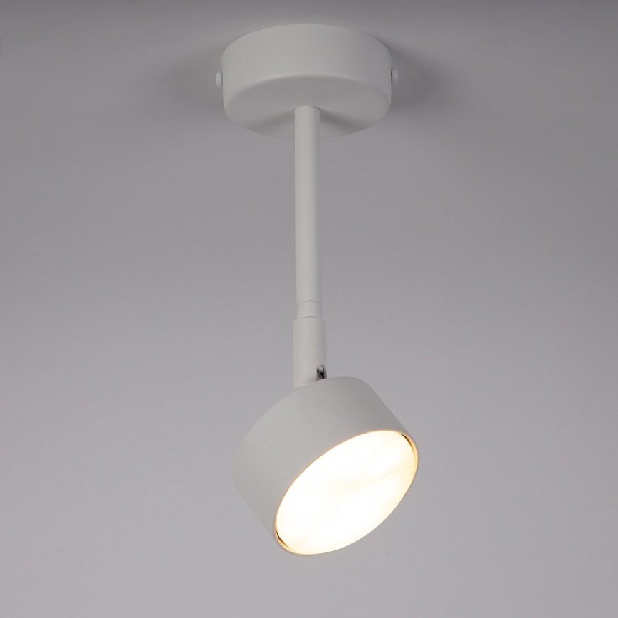 Viseći luster NEMO 1xGX53/12W/230V 24 cm bijela