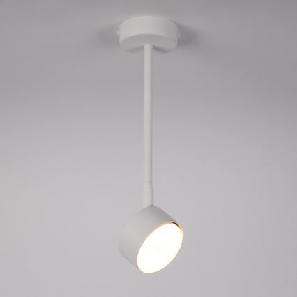 Viseći luster NEMO 1xGX53/12W/230V 35 cm bijela