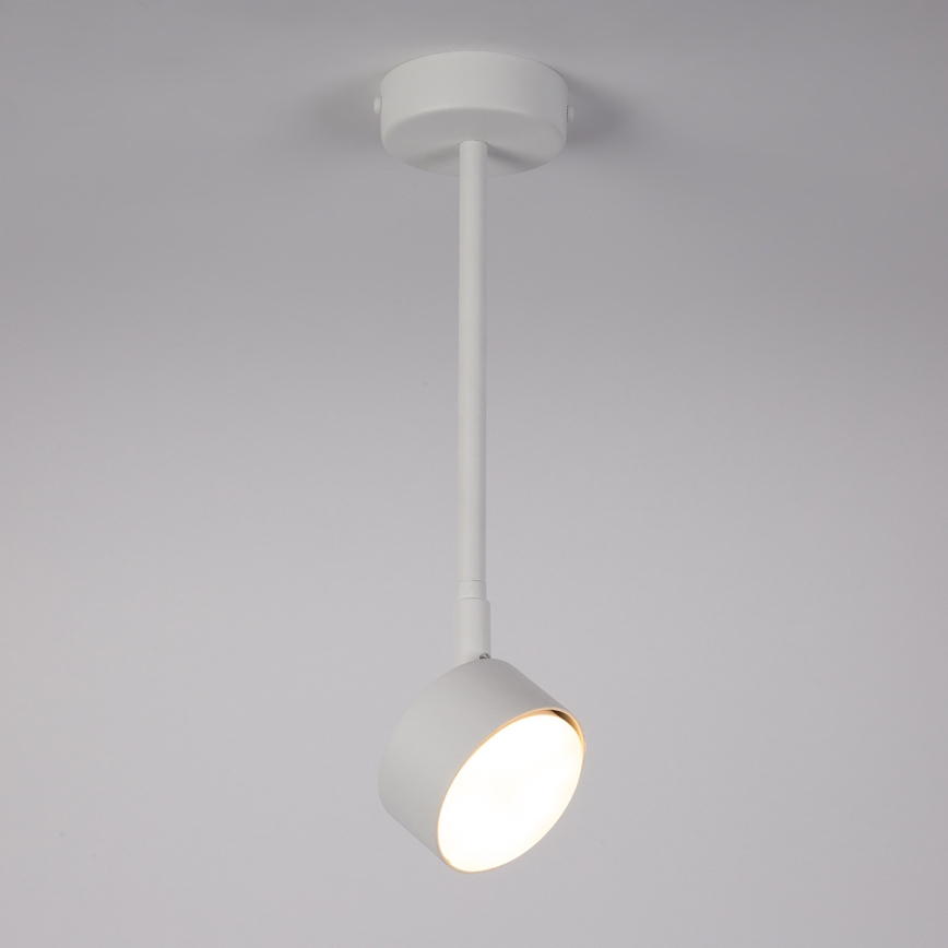 Viseći luster NEMO 1xGX53/12W/230V 35 cm bijela