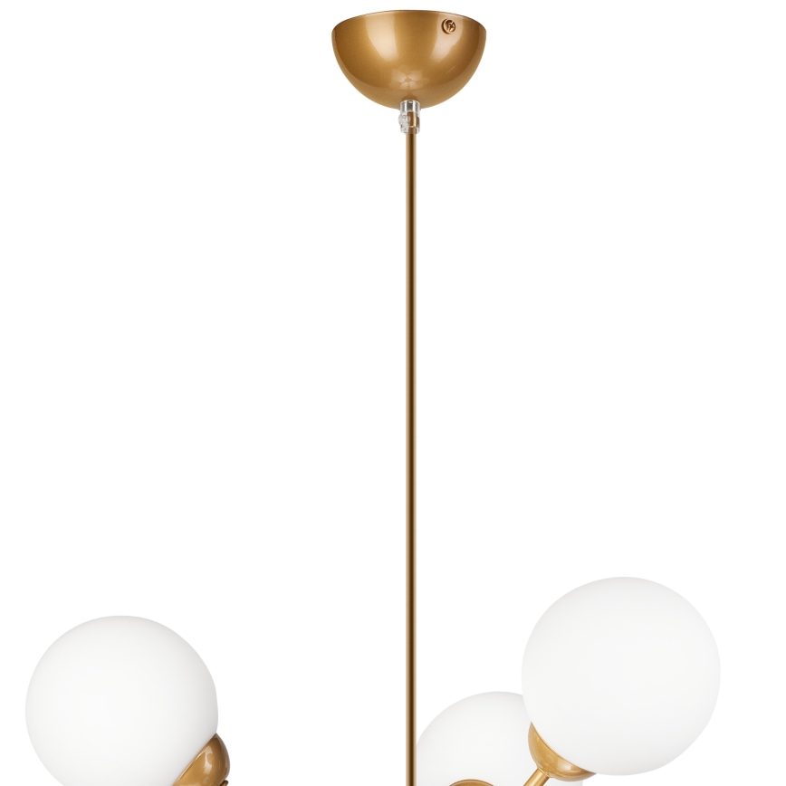 Viseći luster RUBBY BALL 6xG9/5W/230V zlatna