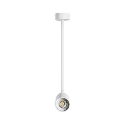 Viseći luster VARIOSA 1xGU10/10W/230V bijela