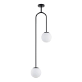 Viseći luster VECTOR 2xE14/10W/230V crna