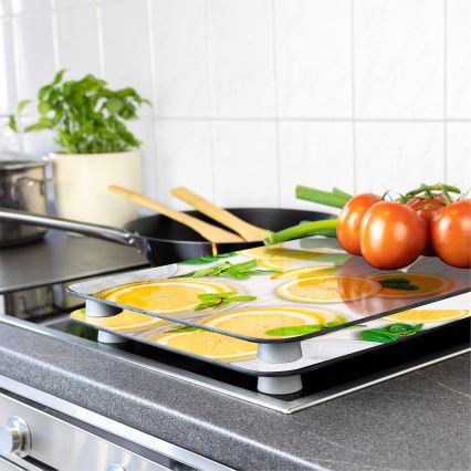 WENKO 2521512500 - Poklopna ploča ABDECKPLATTE - za prehrambenu upotrebu 30x52 cm, šarena