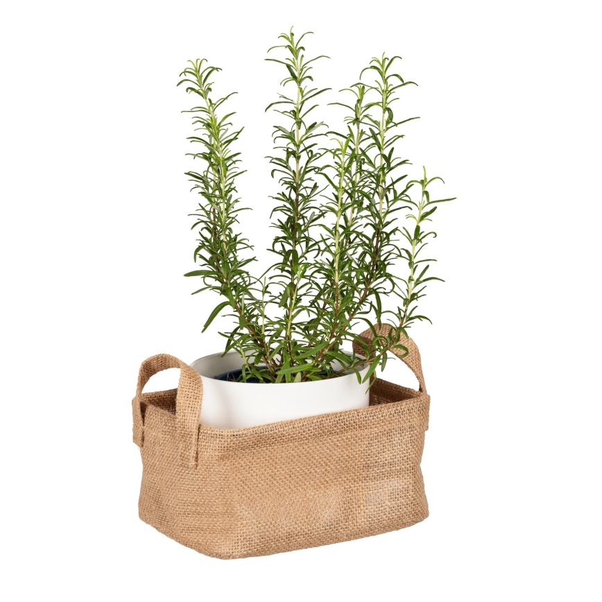 WENKO 64470100 - Koš JUNA 20x15 cm smeđi
