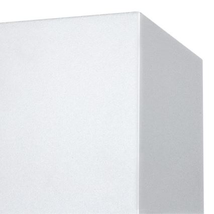 Westinghouse 61150 - LED Vanjska zidna svjetiljka FREYA 2xLED/4,5W/230V IP44 bijela