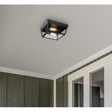 Westinghouse 61219 - Vanjska stropna svjetiljka PETERSON 2xE27/40W/230V IP44