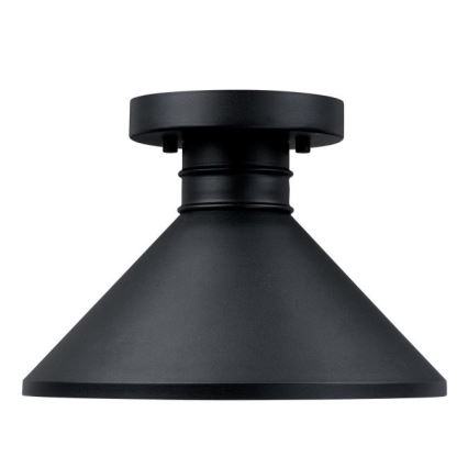 Westinghouse 61238 - Vanjska stropna svjetiljka WALTER 1xE27/60W/230V IP44