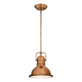 Westinghouse 6308440 - Luster na šipci BOSWELL 1xE27/60W/230V Ø 22 cm