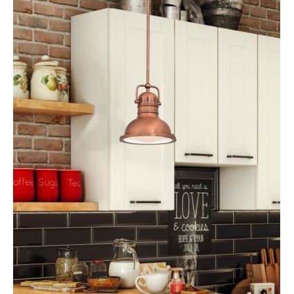 Westinghouse 6308440 - Luster na šipci BOSWELL 1xE27/60W/230V Ø 22 cm