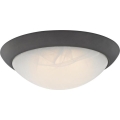 Westinghouse 6308940 - LED stropna svjetiljka s mogućnošću prigušivanja LED/15W/230V
